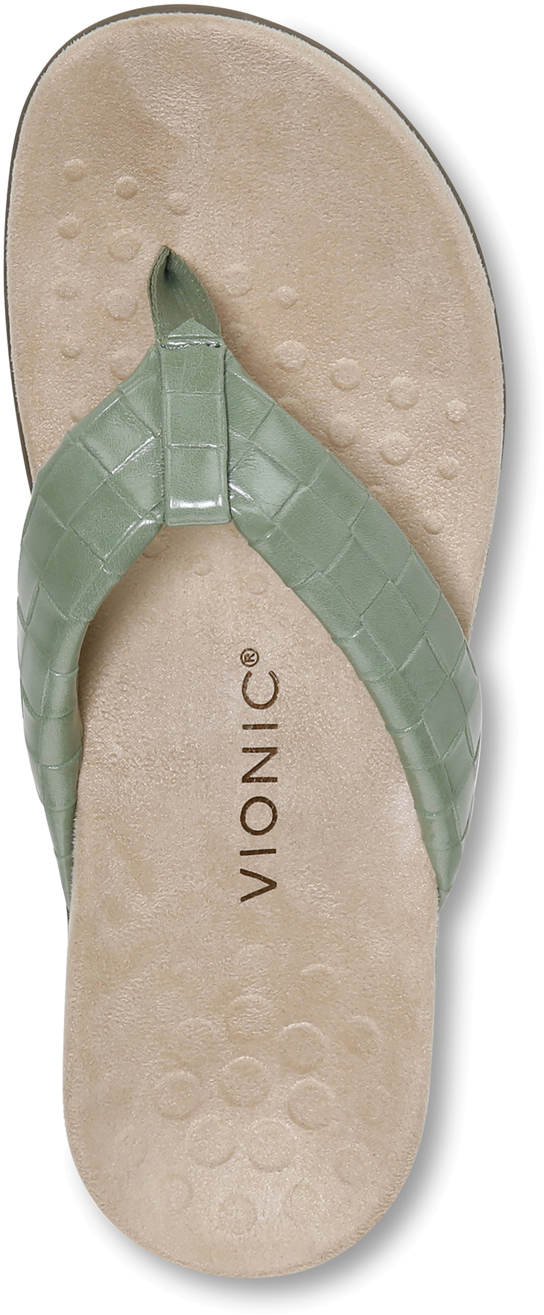 Vionic orthaheel best sale flip flops