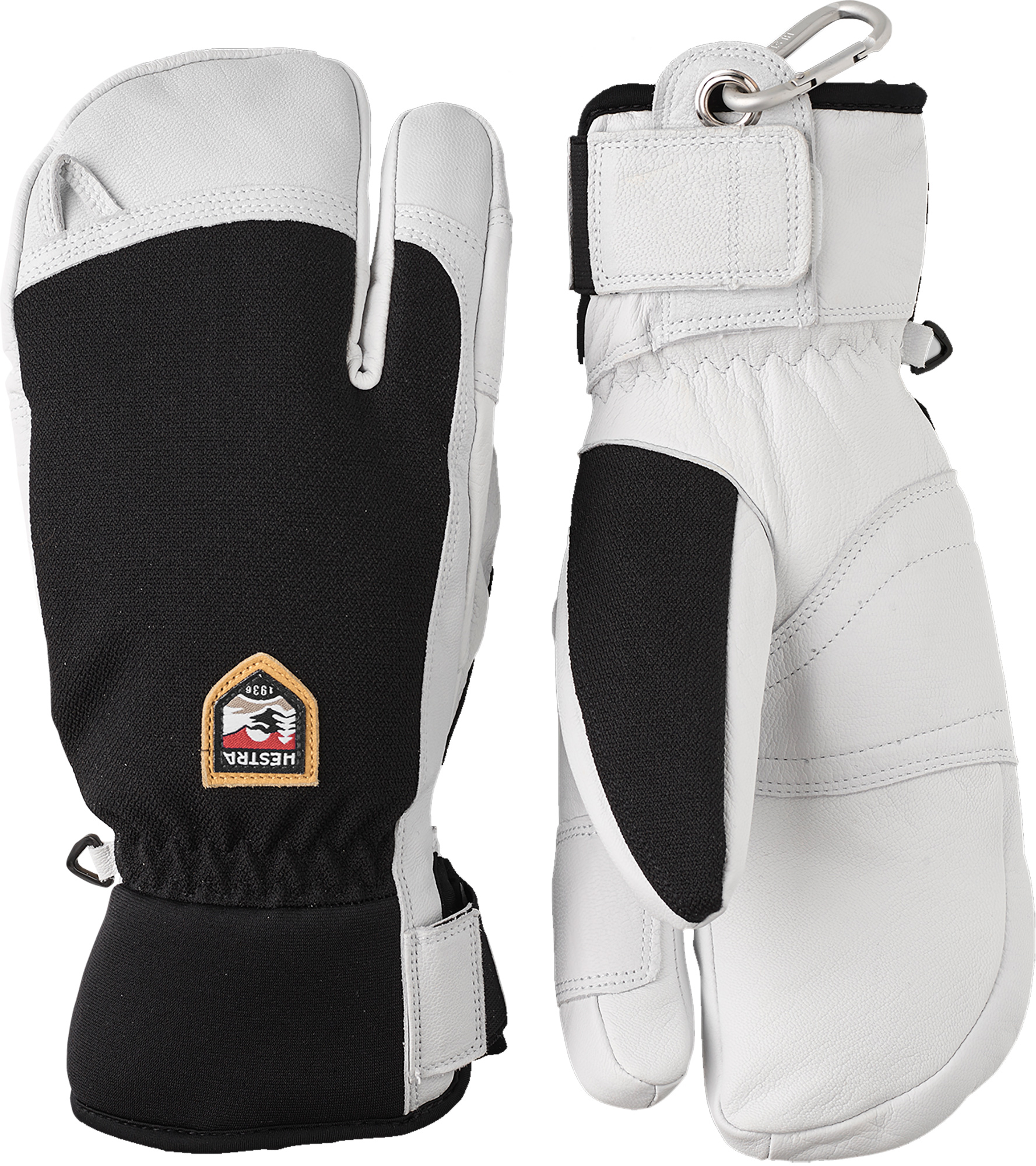 Dakine Phoenix Gore-Tex Glove Black Guantes de esquí : Snowleader